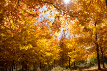 因有美好可期，才不负当下所盼