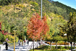 除了自身属性外，它们还是你对彩化“要求”的定义！