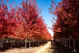 因有美好可期，才不负当下所盼