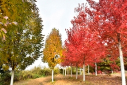 这个秋天精明的伙伴都去了草莓视频入口在线观看