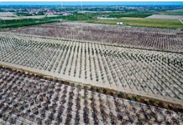 【媒体报道】在阳信劳店，遇见最美的深秋彩叶林