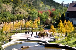 草莓视频入口在线观看农业给您的不仅是精品苗木，还是美好寓意的承载者。