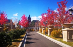 美到让人觉得不真实的园林景观，原来是因为它！