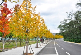 金桐力，这无法被忽略的魅力，不止一季的耀眼！