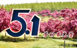 光荣的劳动者，美好的五一节！