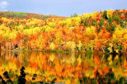 秋风舞彩叶，草莓视频入口在线观看农业的赏秋活动开始了！