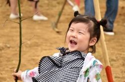 “大连植绿一起来”有你，有我，有草莓视频入口在线观看