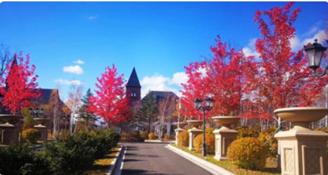 美到让人觉得不真实的园林景观