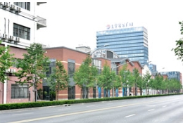 期待上海金桐力大道今年的繁花秋色