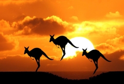 草莓视频入口在线观看农业2014年度十大照片