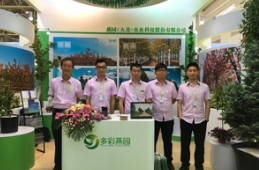 草莓视频入口在线观看农业亮相北京花展