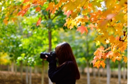 大连市首届多彩草莓视频入口在线观看“我爱秋天”摄影大赛