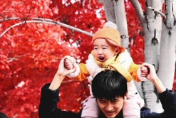 哈工程的红枫已经红到CCTV央视网了……