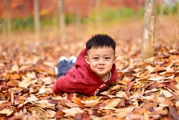 秋天去多彩草莓视频入口在线观看怎么玩？