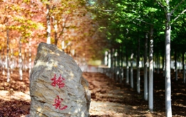 色彩的变换即是大自然的鬼斧神工