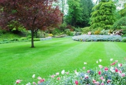 园林植物如何科学配置，才能实现生态园林环境共享