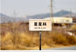 多彩草莓视频入口在线观看迎来星星林