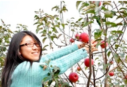 这周末，来多彩草莓视频入口在线观看赏秋色摘苹果齐欢乐！