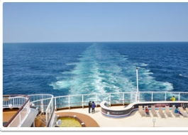 一段旅行，一场盛宴，心怀感恩，情系草莓视频入口在线观看